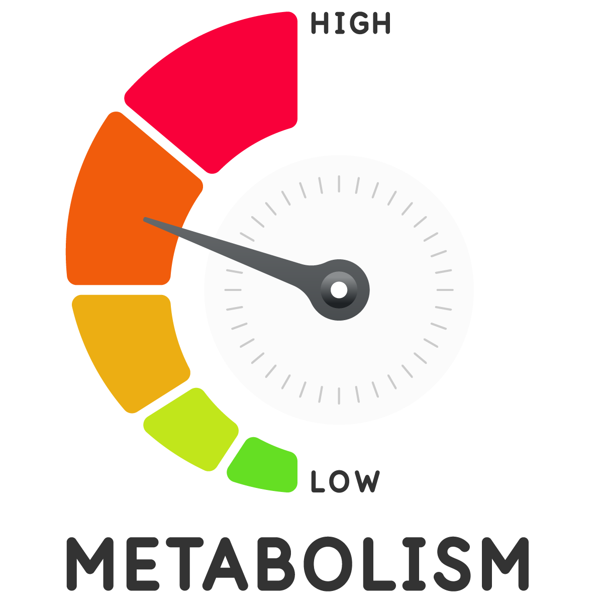 Maintaining your Metabolic Rate while taking Semaglutide Medications